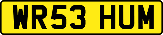 WR53HUM