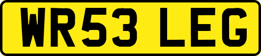 WR53LEG