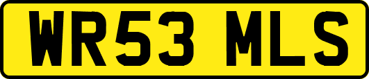 WR53MLS
