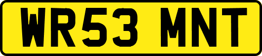 WR53MNT