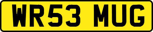 WR53MUG