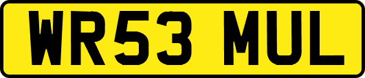 WR53MUL