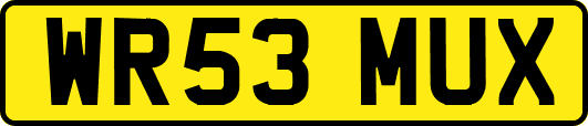 WR53MUX