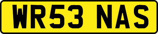 WR53NAS