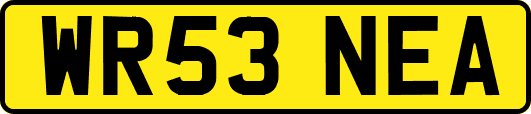 WR53NEA
