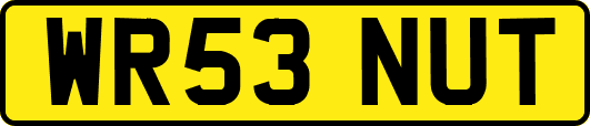 WR53NUT