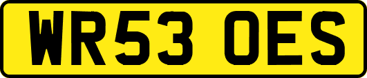 WR53OES