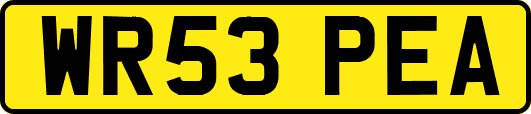 WR53PEA