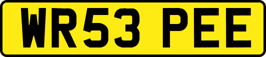 WR53PEE