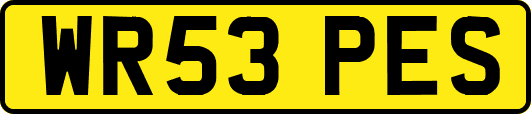 WR53PES