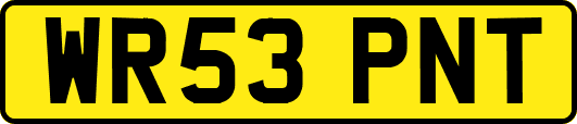 WR53PNT
