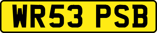 WR53PSB