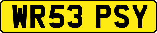 WR53PSY