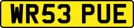 WR53PUE