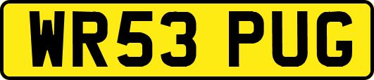 WR53PUG