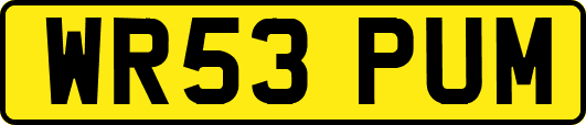 WR53PUM