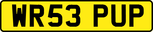 WR53PUP