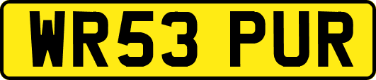 WR53PUR