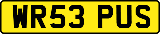 WR53PUS