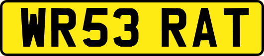 WR53RAT