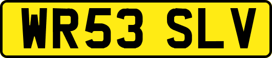WR53SLV