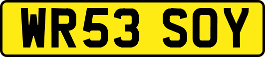 WR53SOY