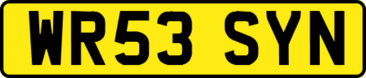 WR53SYN