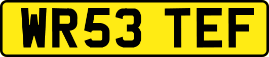 WR53TEF
