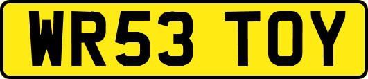 WR53TOY