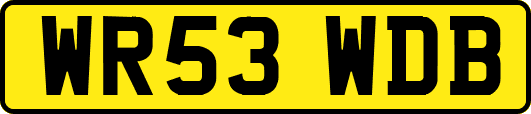 WR53WDB