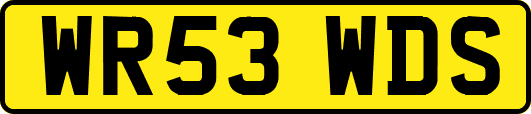 WR53WDS