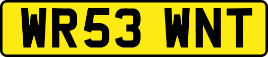 WR53WNT