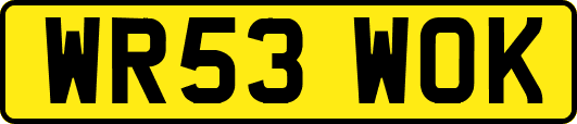 WR53WOK