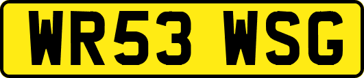 WR53WSG