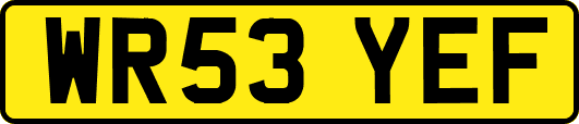 WR53YEF