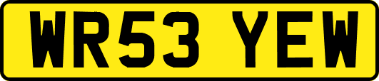 WR53YEW