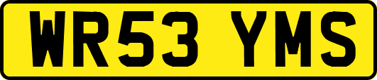 WR53YMS