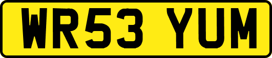 WR53YUM