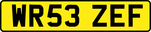 WR53ZEF