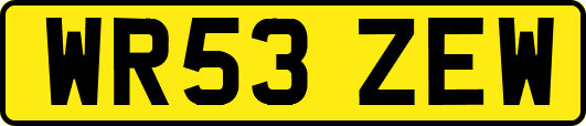 WR53ZEW