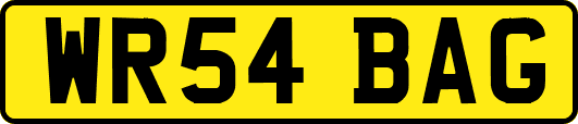WR54BAG