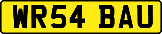 WR54BAU