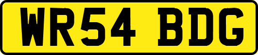 WR54BDG