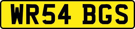 WR54BGS