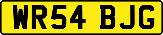 WR54BJG