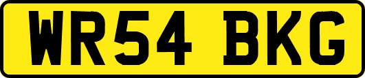 WR54BKG