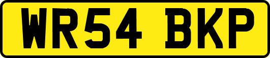 WR54BKP
