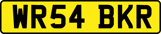 WR54BKR