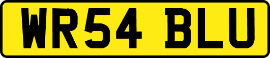 WR54BLU