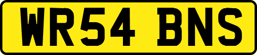 WR54BNS